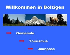 Logo Webpage: www.boltigen.ch