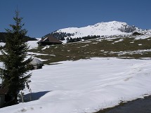 Jaunpass: 