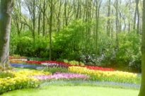 Bild 29.04.2003: keuhof07-t.jpg 205×136 10KB, Orig-036_34a CD-727310 06-Mai-03