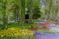 Bild 29.04.2003: keuhof11-t.jpg 205×136 10KB, Orig-024_22 CD-727313 06-Mai-03