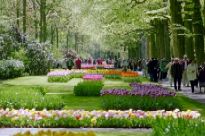 Bild 29.04.2003: keuhof12-t.jpg 205×136 10KB, Orig-026_24 CD-727313 06-Mai-03